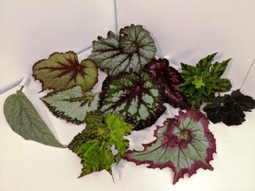 Заказ Самкина 11102021 2